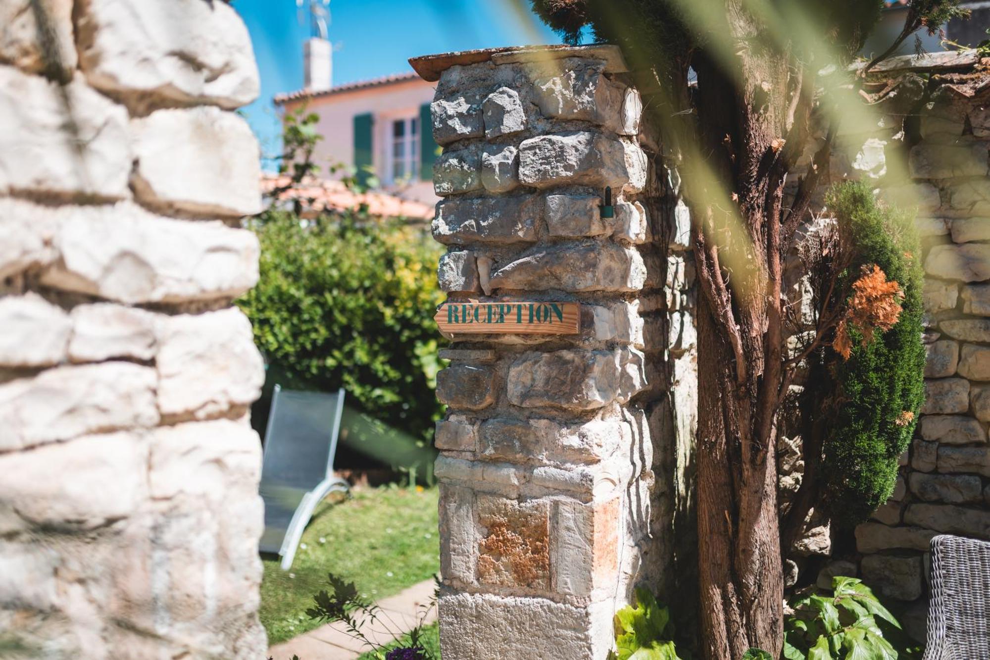 Le Clos Des Sternes La Flotte Ngoại thất bức ảnh